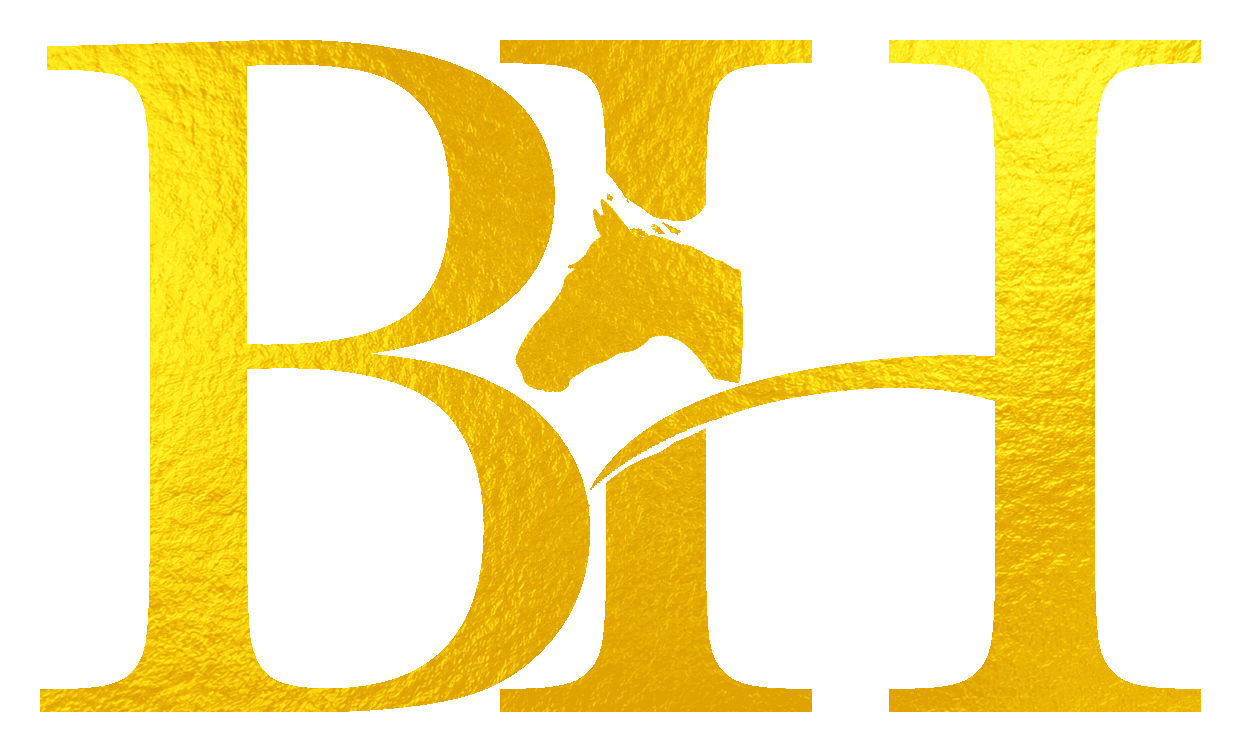 Barry Henderson Photography gold BH horse monogram