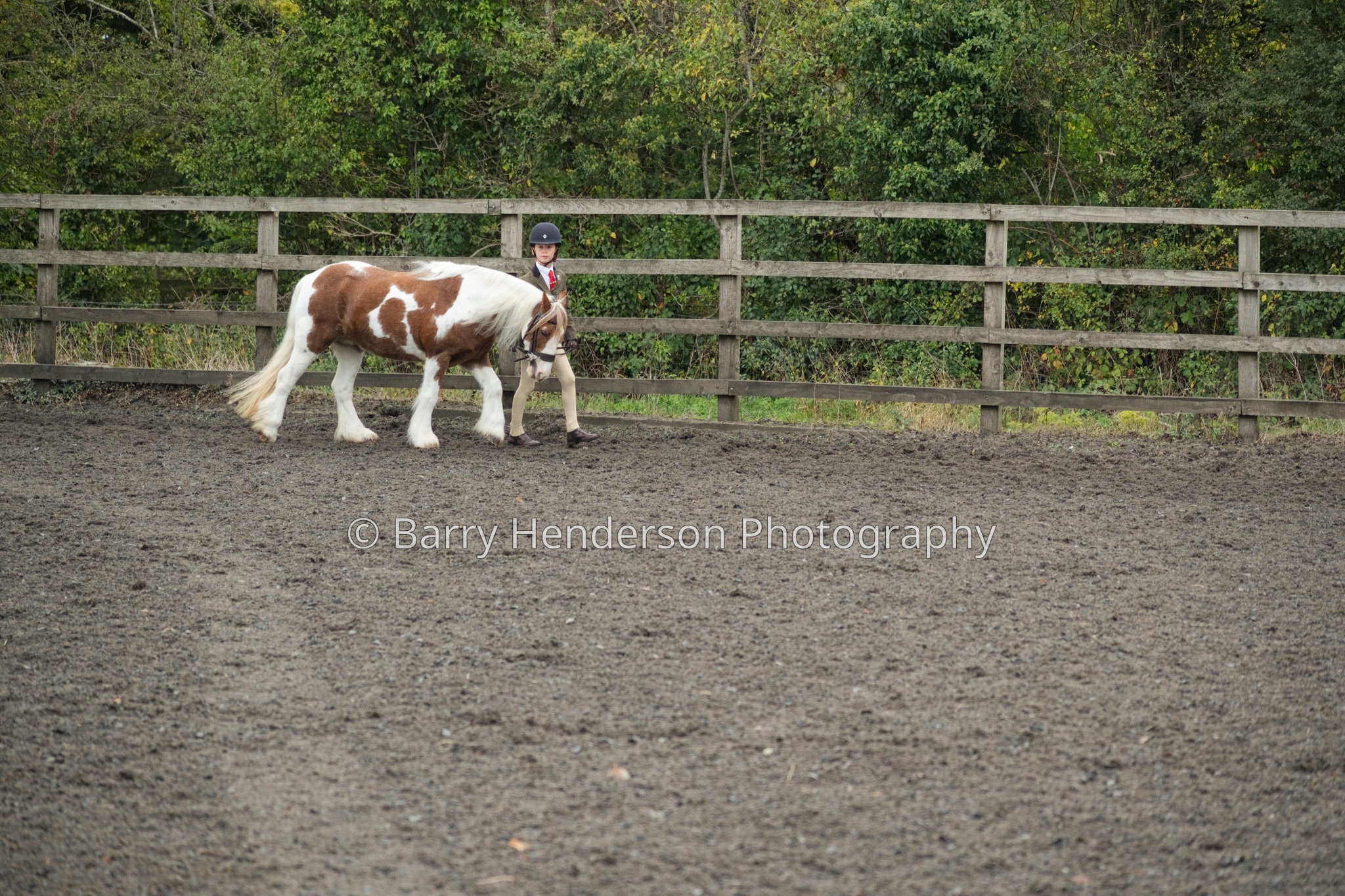 Murry House Equestrian — 04/10/2026 photograph
