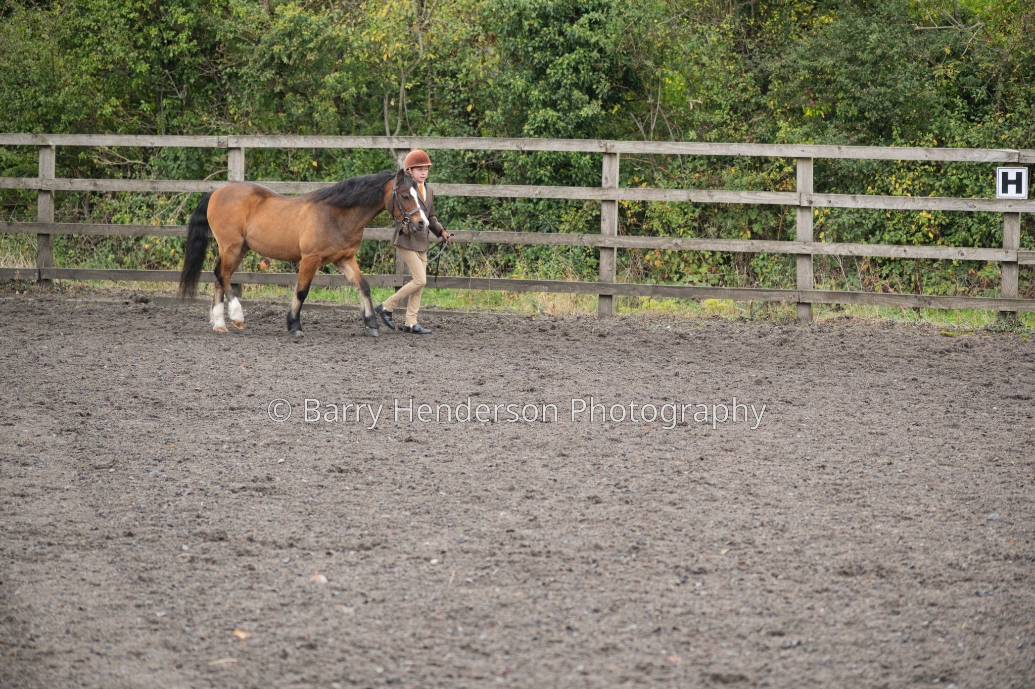 Murry House Equestrian — 04/10/2026 photograph