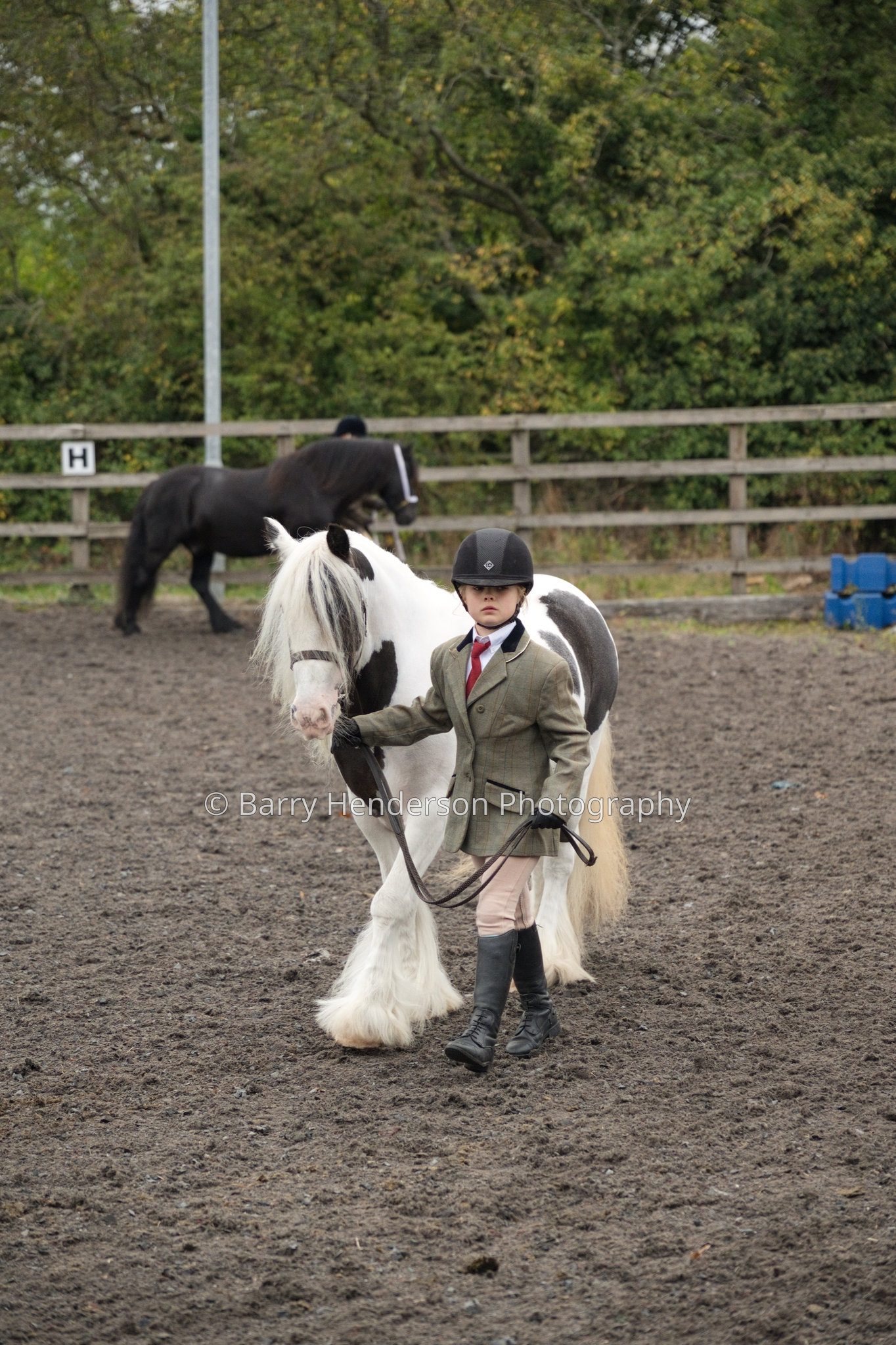 Murry House Equestrian — 04/10/2026 photograph