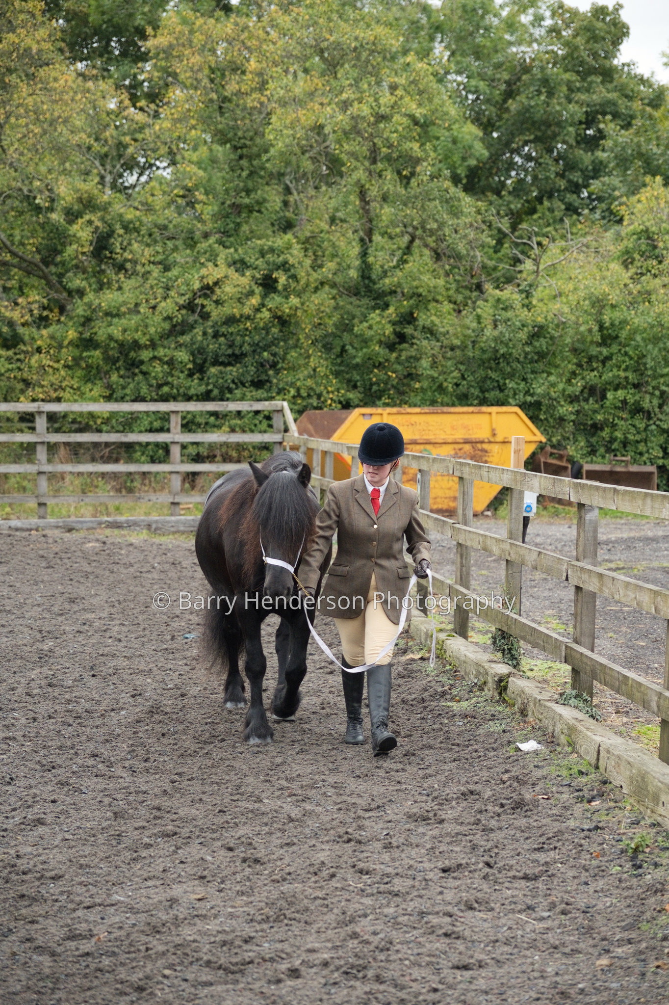 Murry House Equestrian — 04/10/2026 photograph