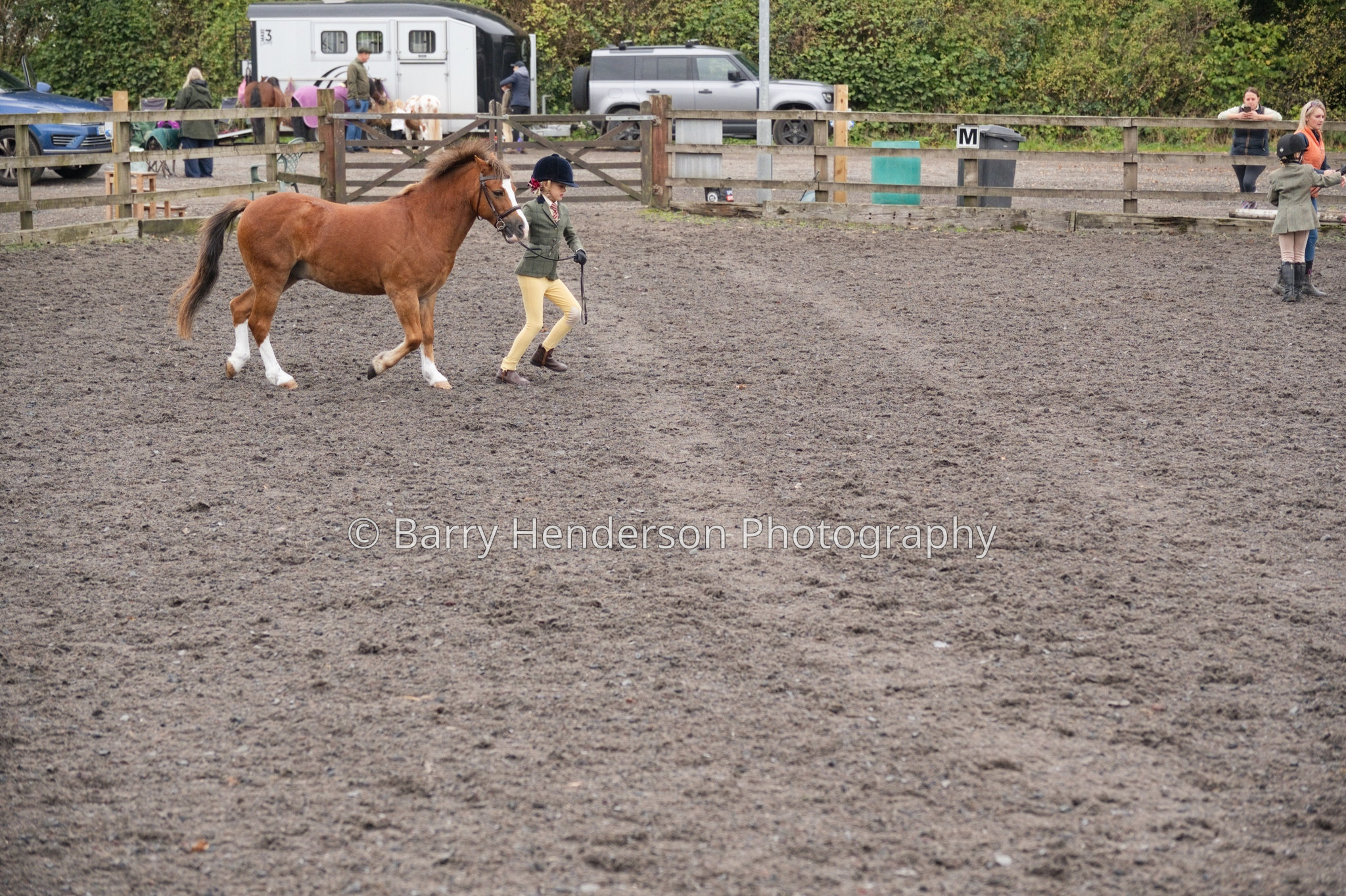 Murry House Equestrian — 04/10/2026 photograph