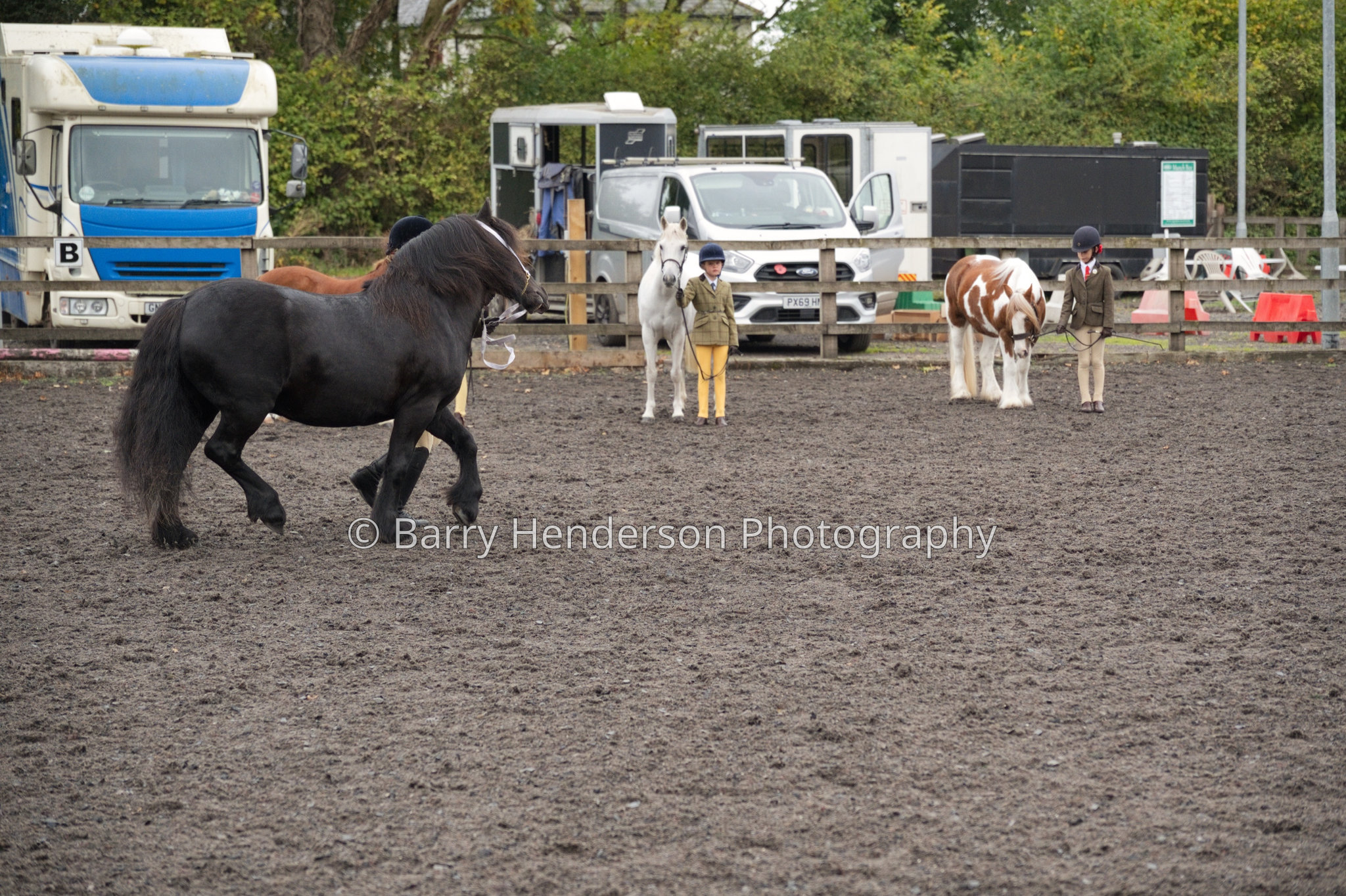 Murry House Equestrian — 04/10/2026 photograph