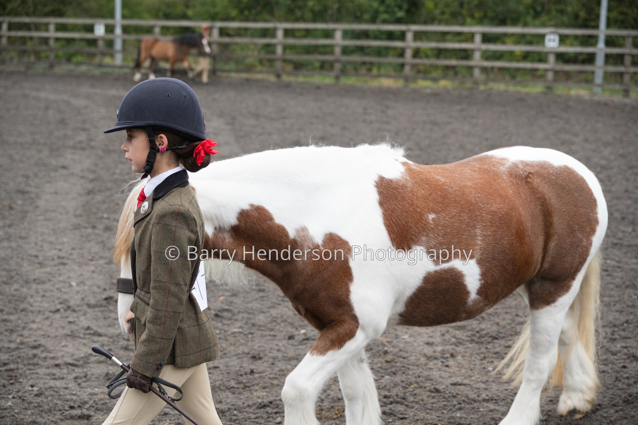 Murry House Equestrian — 04/10/2026 photograph
