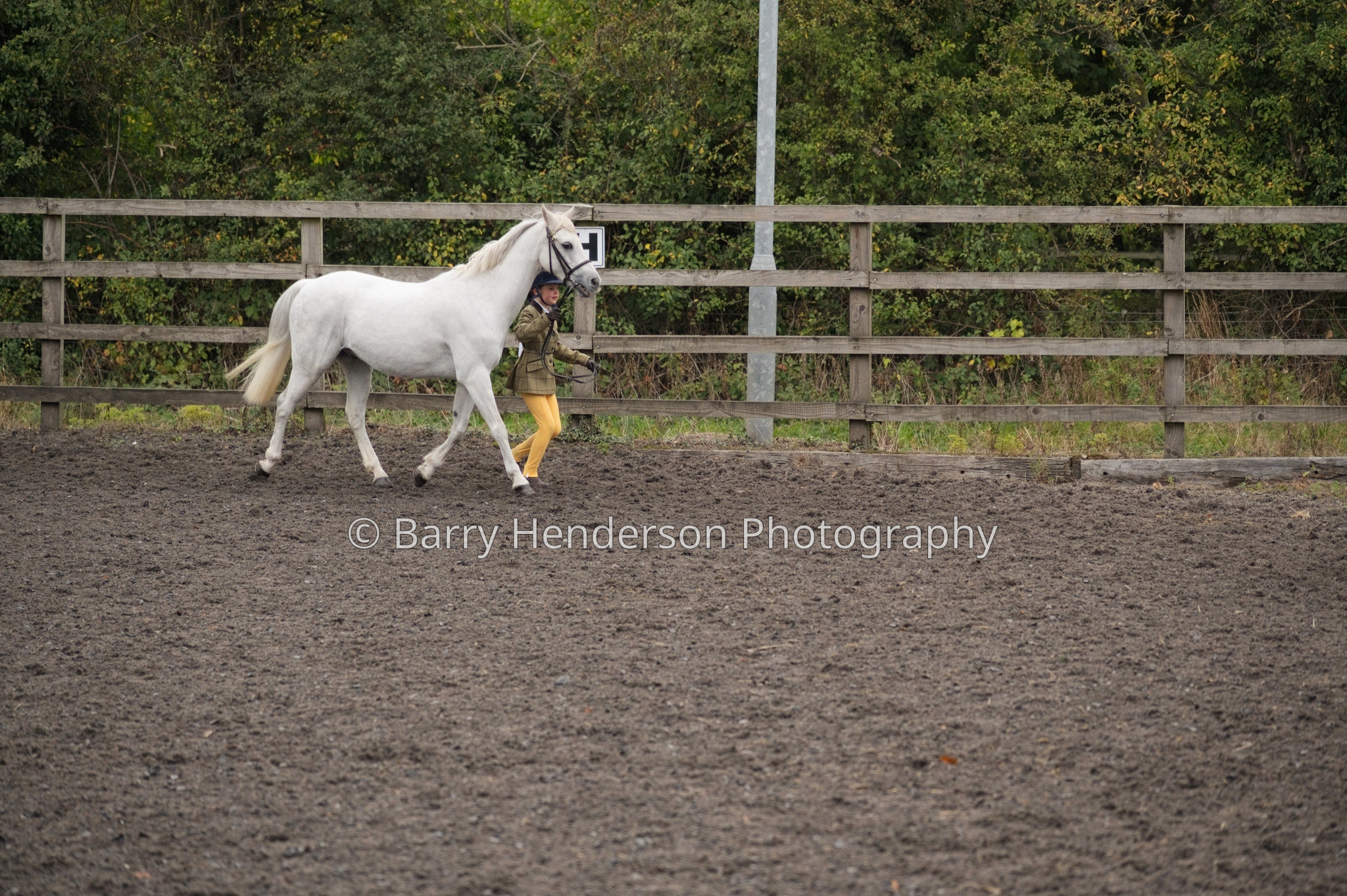 Murry House Equestrian — 04/10/2026 photograph
