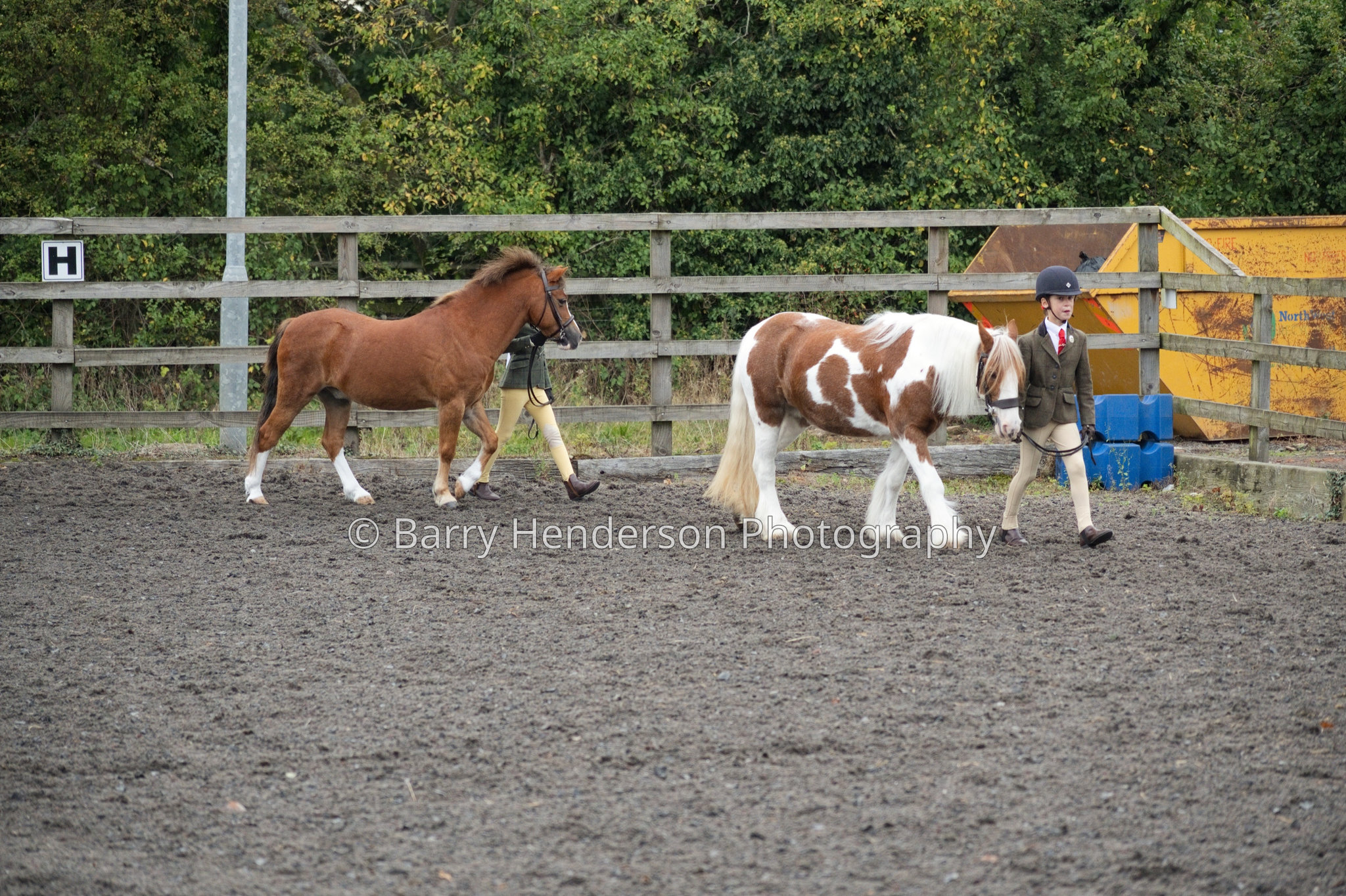 Murry House Equestrian — 04/10/2026 photograph