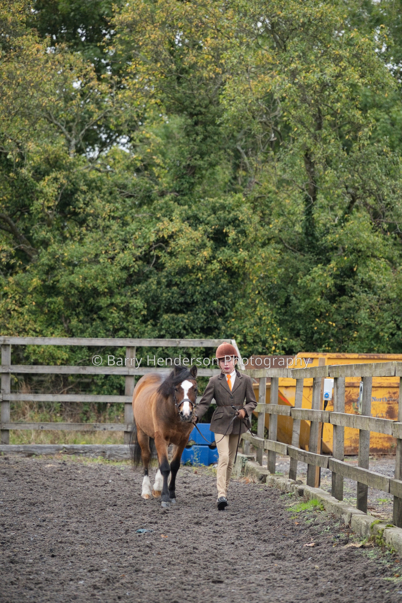 Murry House Equestrian — 04/10/2026 photograph