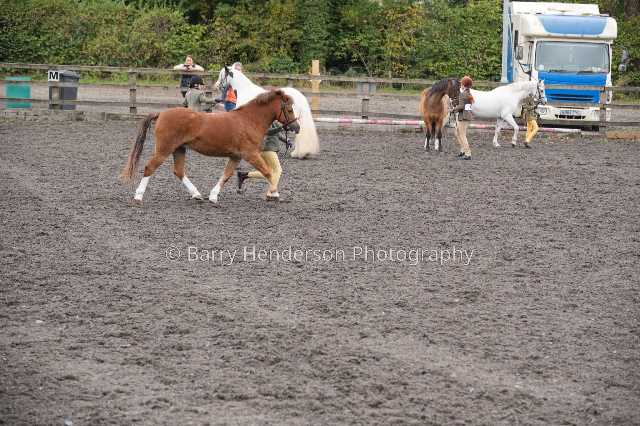 Murry House Equestrian — 04/10/2026 photograph