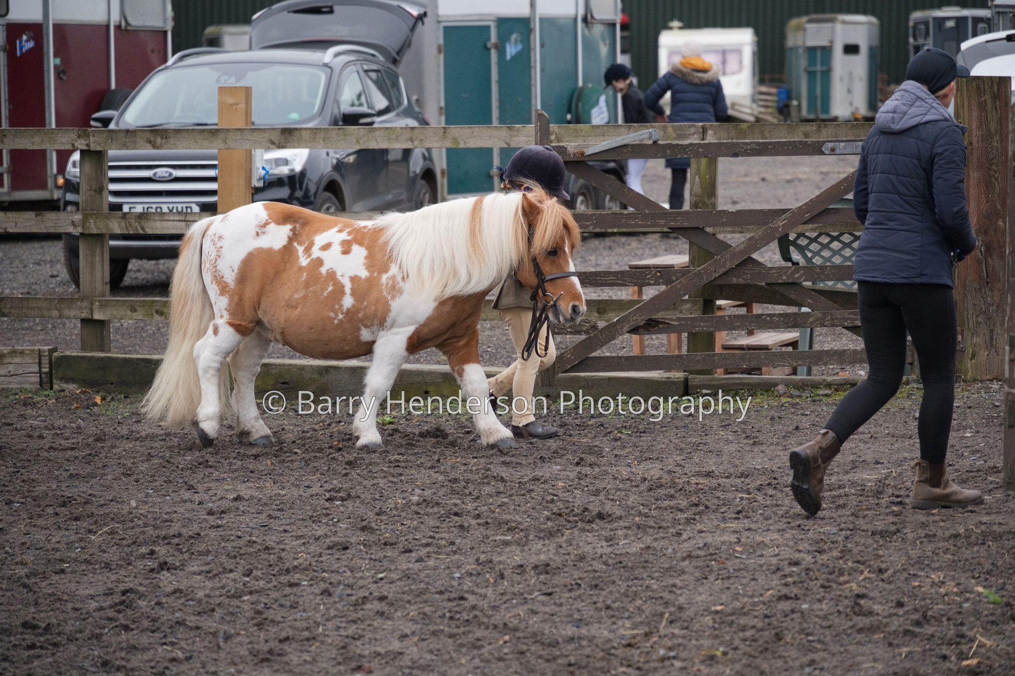 Murry House Equestrian — 04/10/2026 photograph