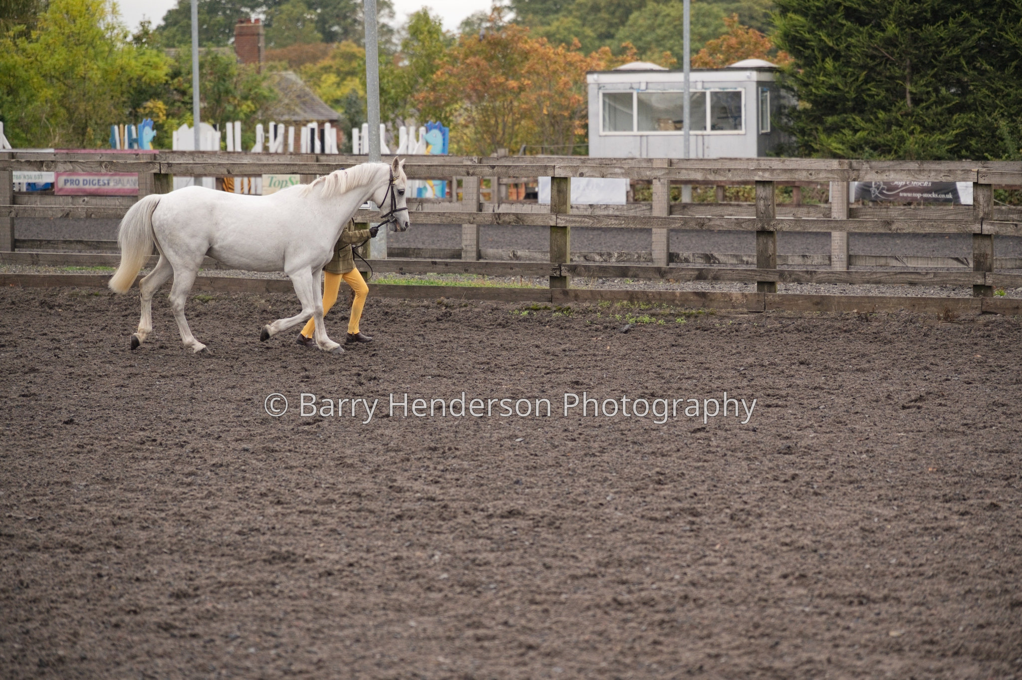 Murry House Equestrian — 04/10/2026 photograph