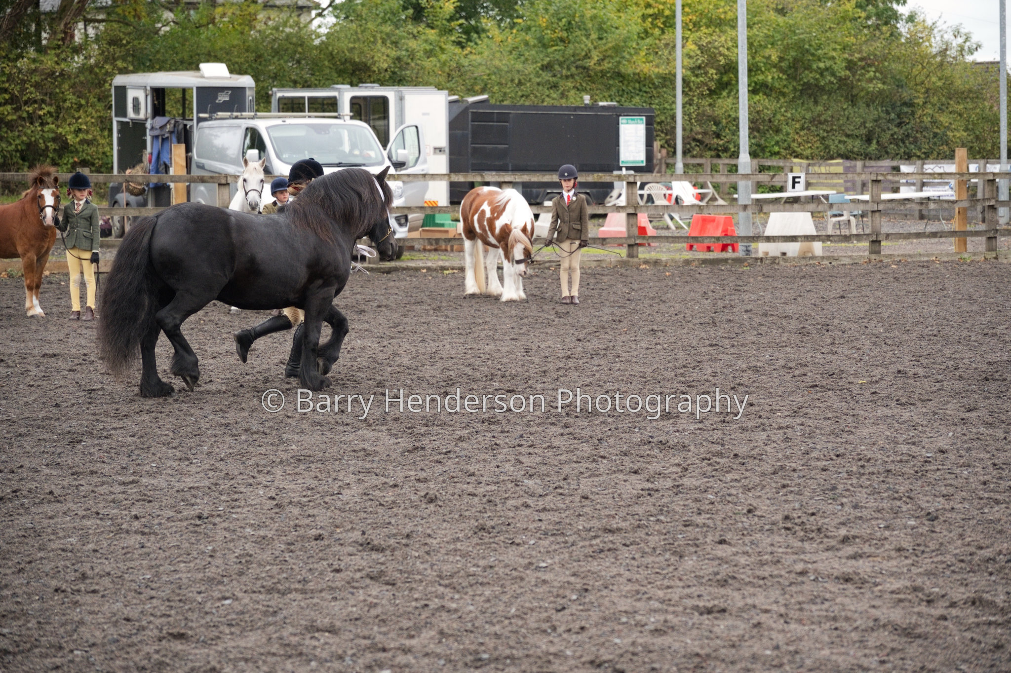 Murry House Equestrian — 04/10/2026 photograph