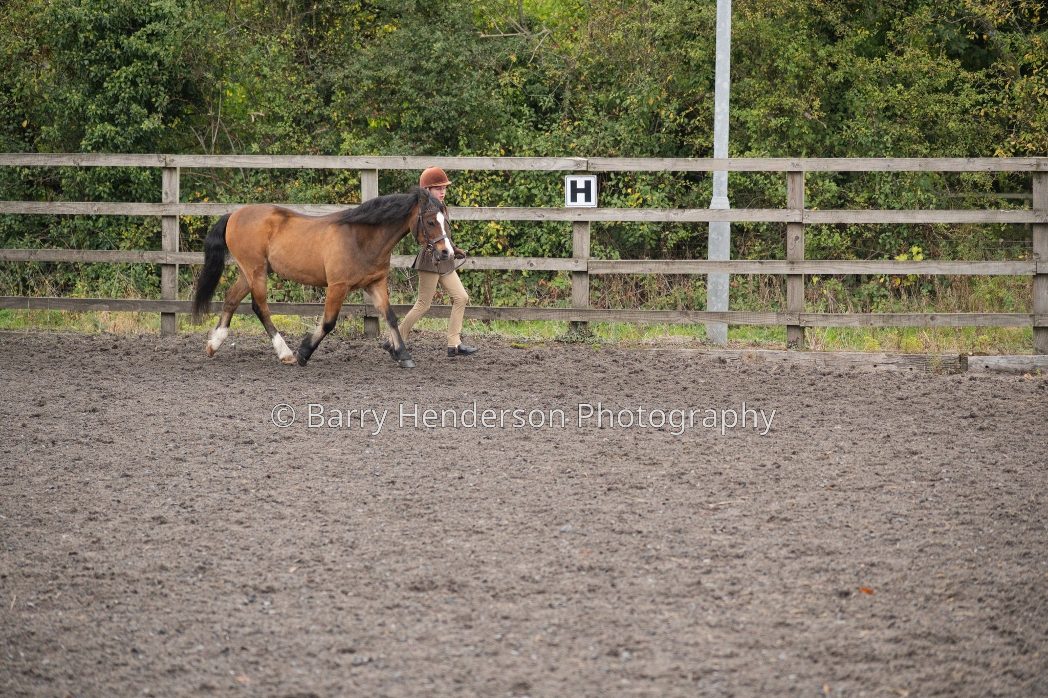 Murry House Equestrian — 04/10/2026 photograph