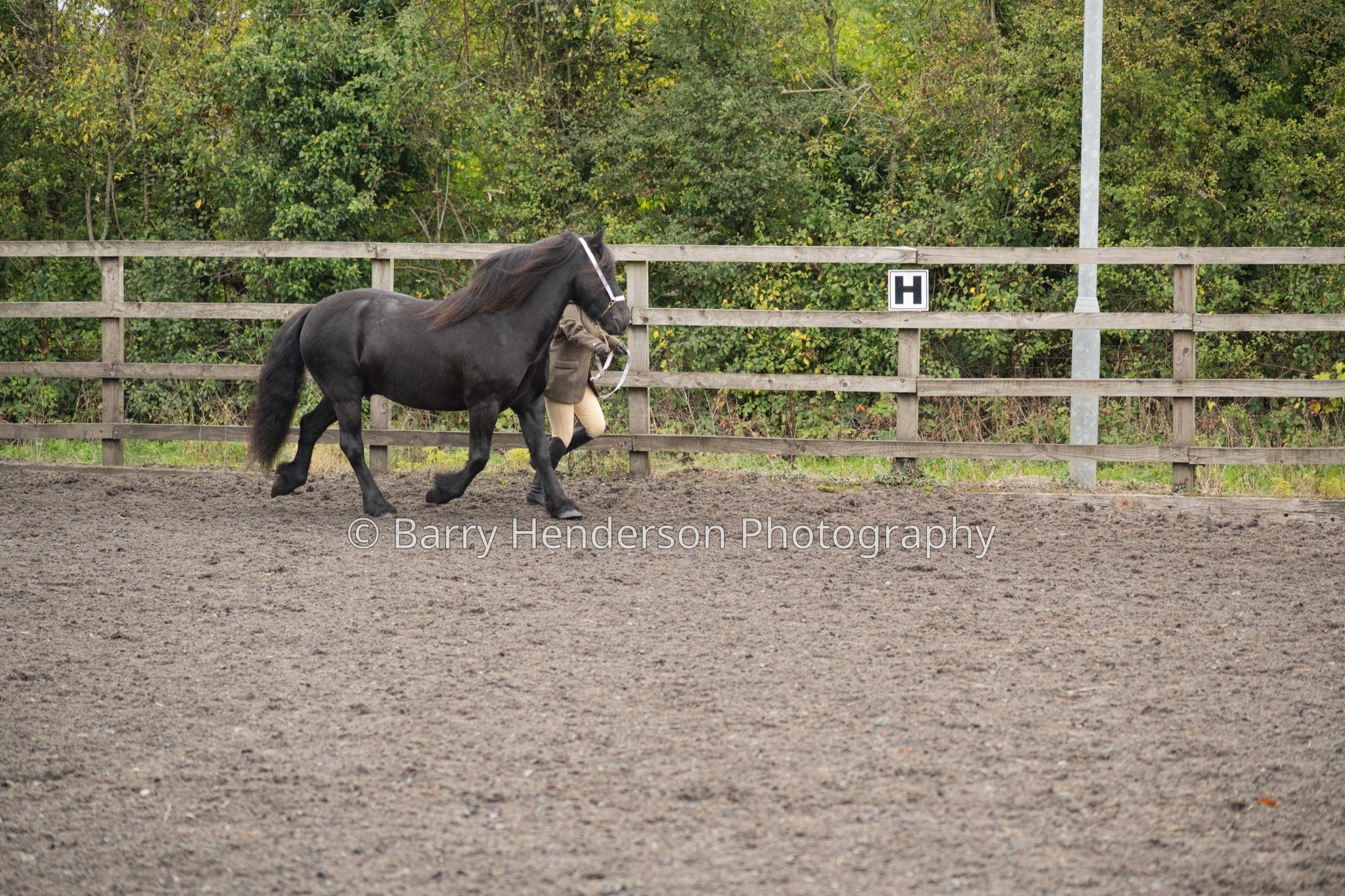 Murry House Equestrian — 04/10/2026 photograph