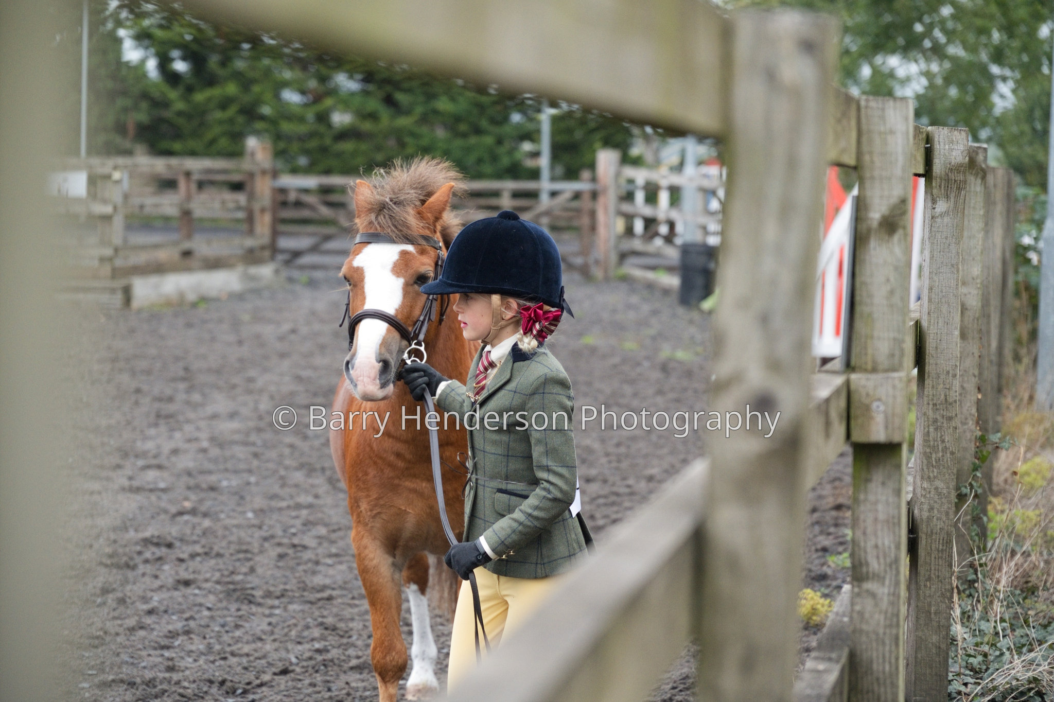Murry House Equestrian — 04/10/2026 photograph