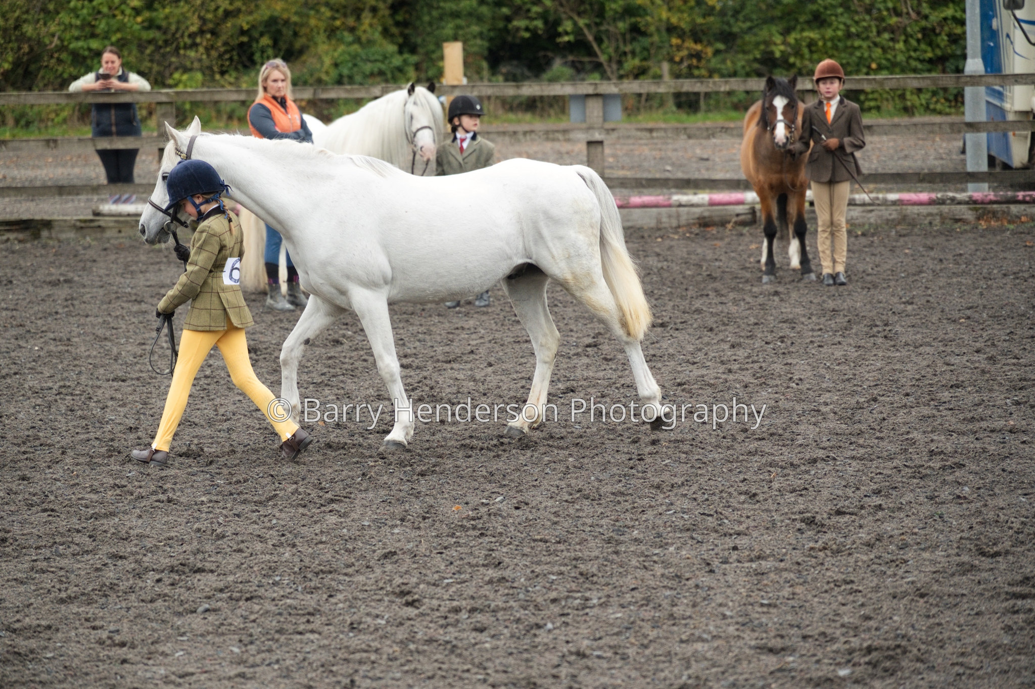 Murry House Equestrian — 04/10/2026 photograph