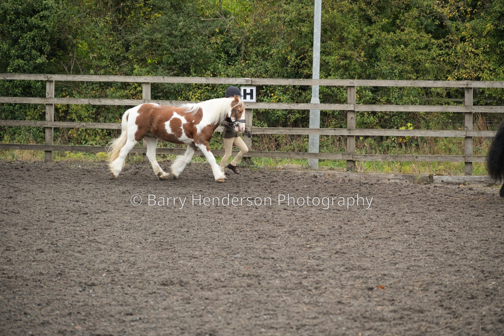 Murry House Equestrian — 04/10/2026 photograph