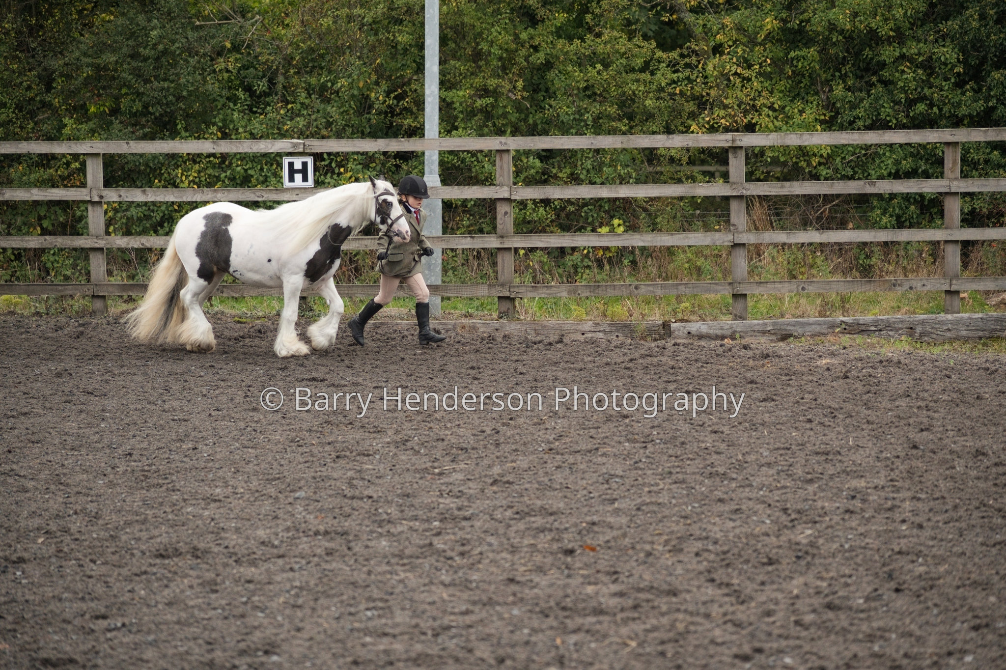Murry House Equestrian — 04/10/2026 photograph