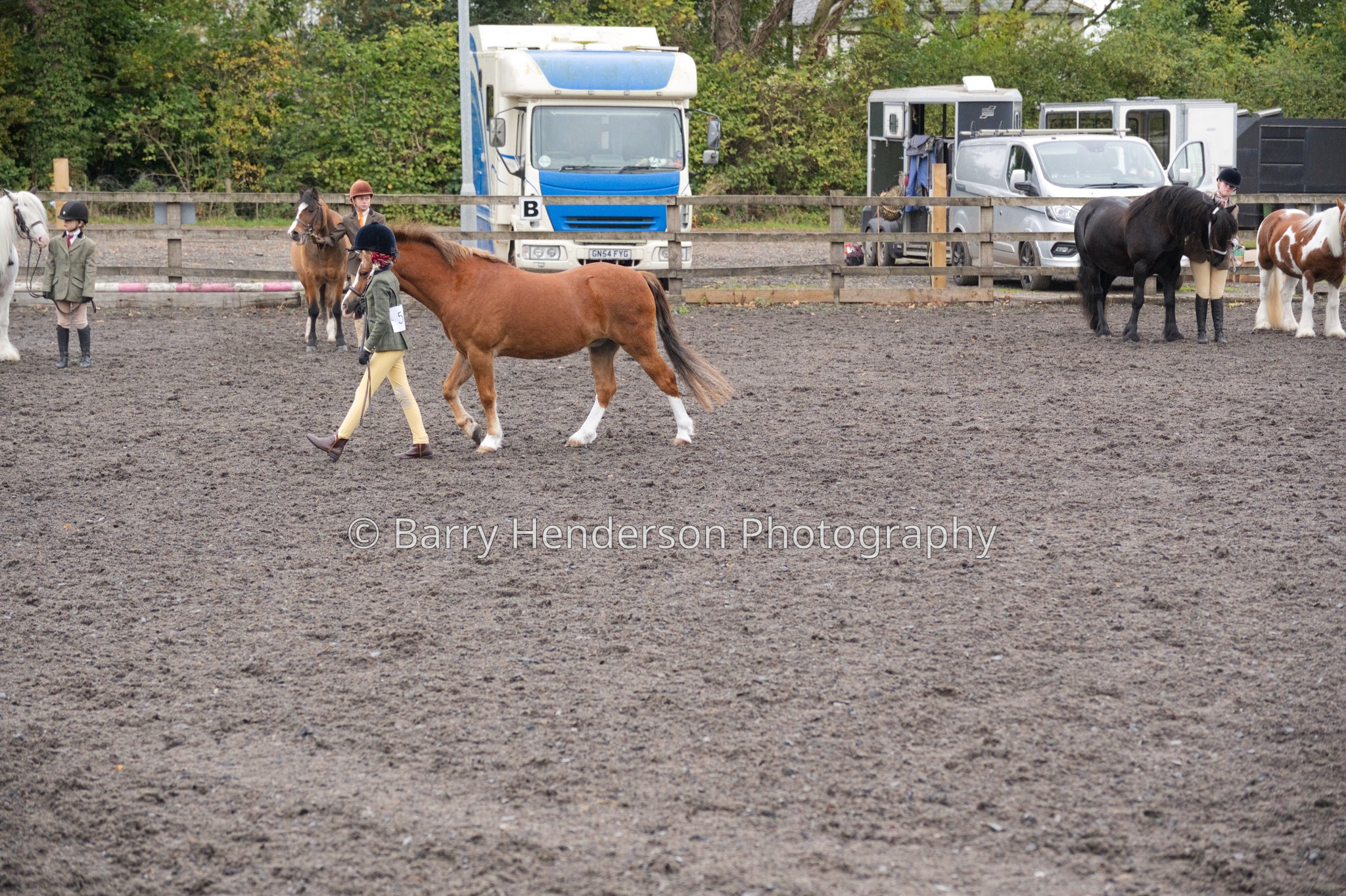 Murry House Equestrian — 04/10/2026 photograph