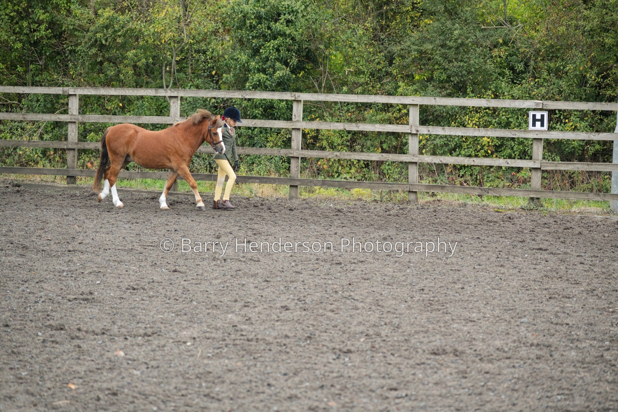 Murry House Equestrian — 04/10/2026 photograph