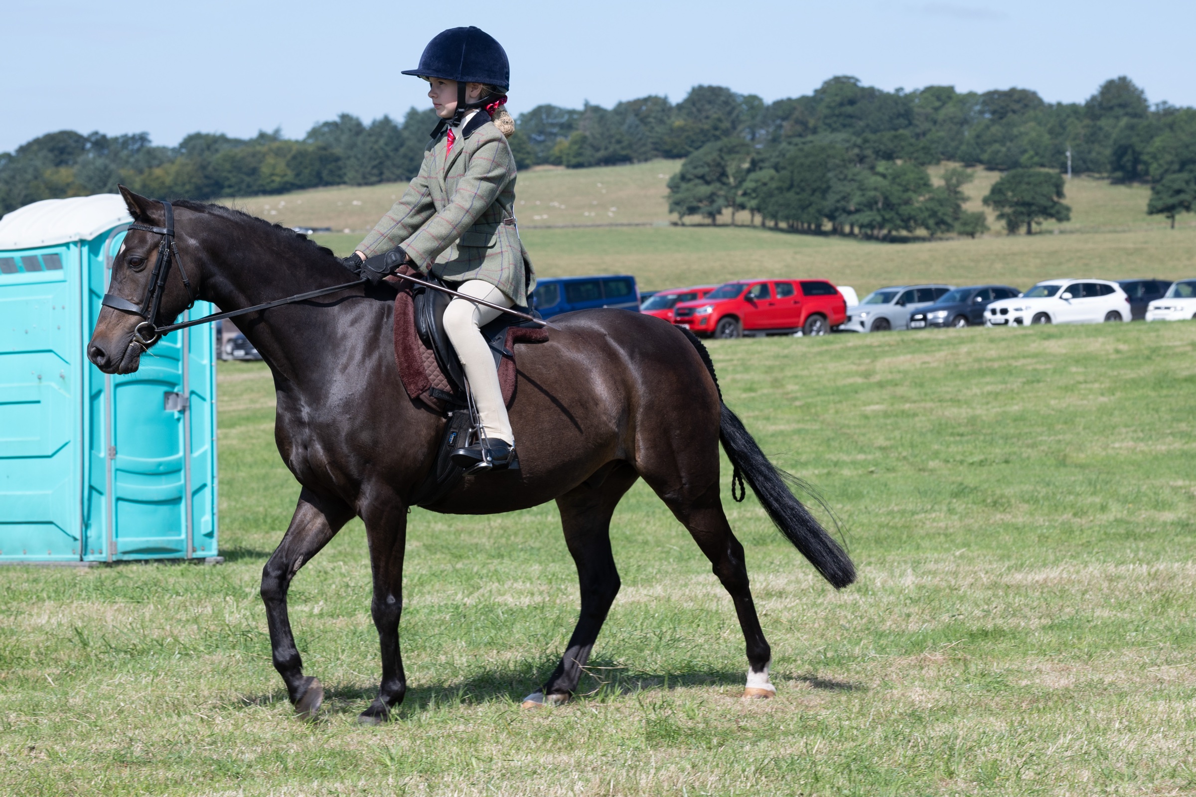 Prize-winning horse at Gilsland Country Show