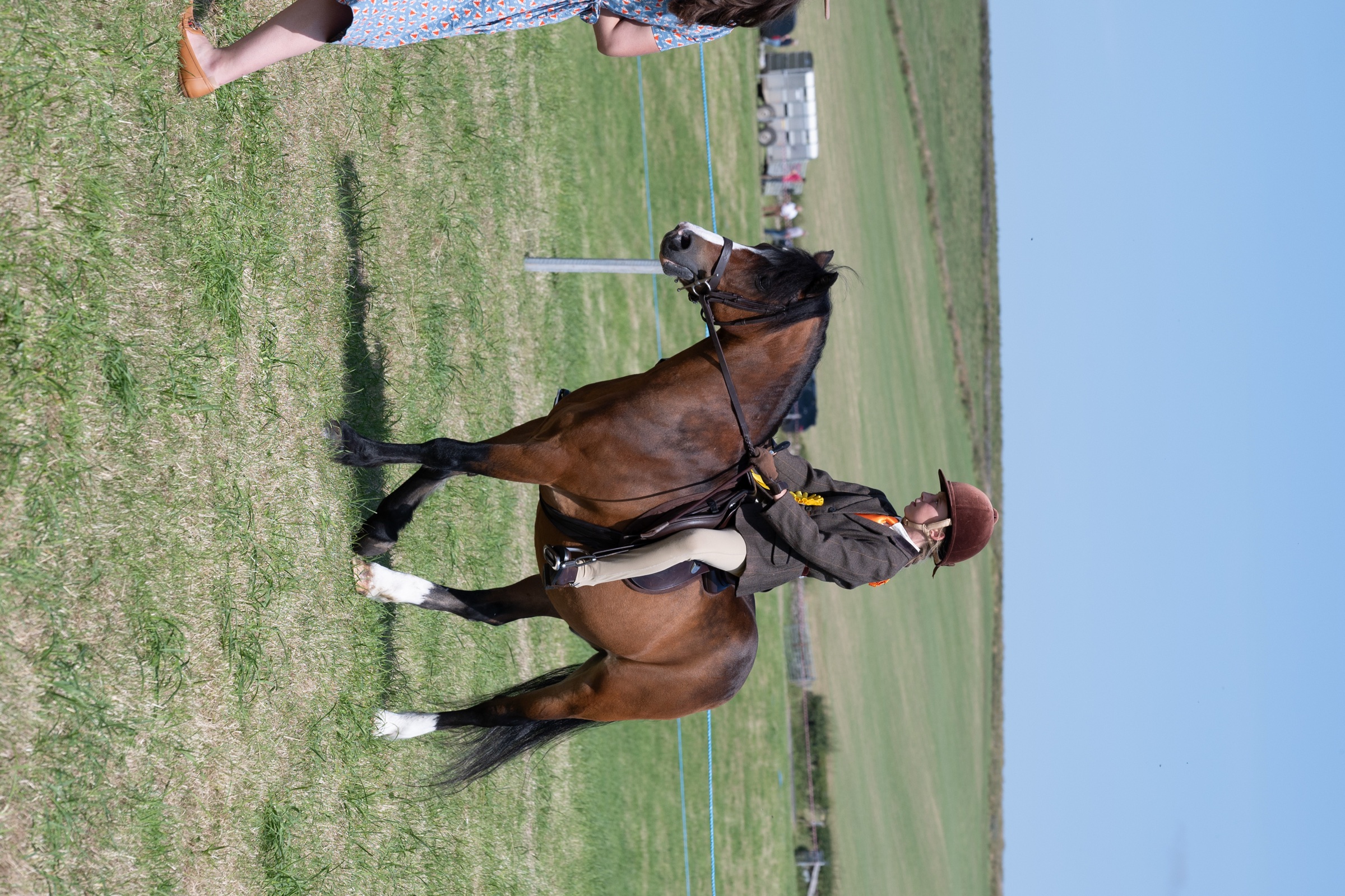 Horse and handler at Gilsland Country Show