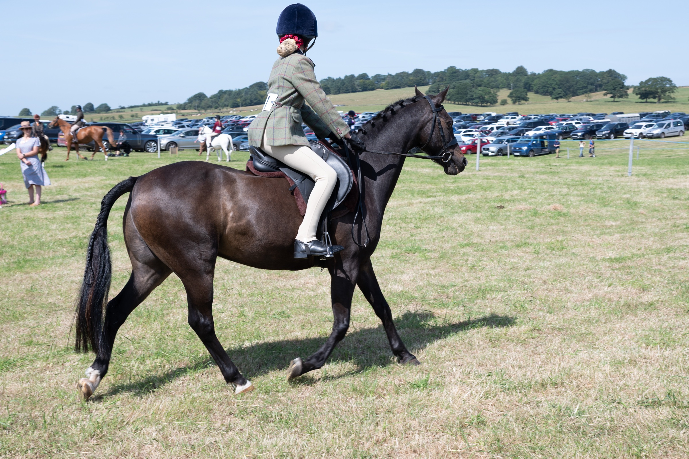 Horse and rider at Gilsland Country Show